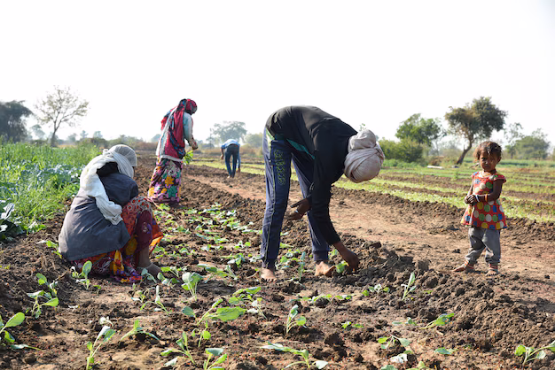Agriculture